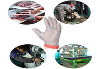 Αντιστρέψιμο επίπεδο 5 γάντια ασφάλειας ανοξείδωτου με το υφαντικό ασημένιο χρώμα λουριών