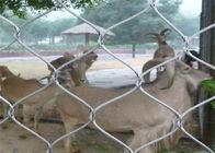 Ζωική περίφραξη πλέγματος κλουβιών ανοξείδωτου προστασίας/πλέγματος καλωδίων ζωολογικών κήπων αντιοξειδωτική